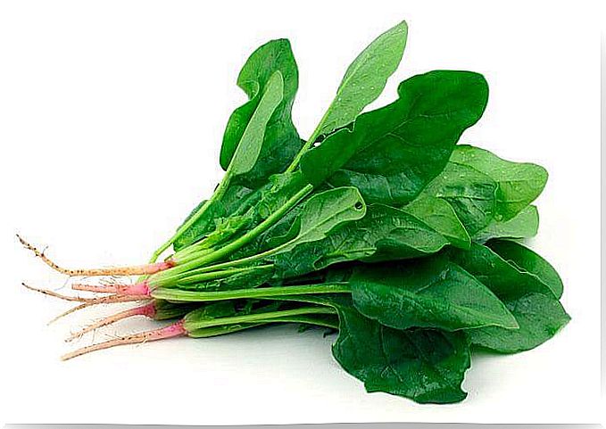 green vegetables to take care of your eyesight
