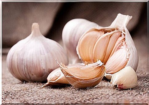 foods that can cause bad body odor: garlic
