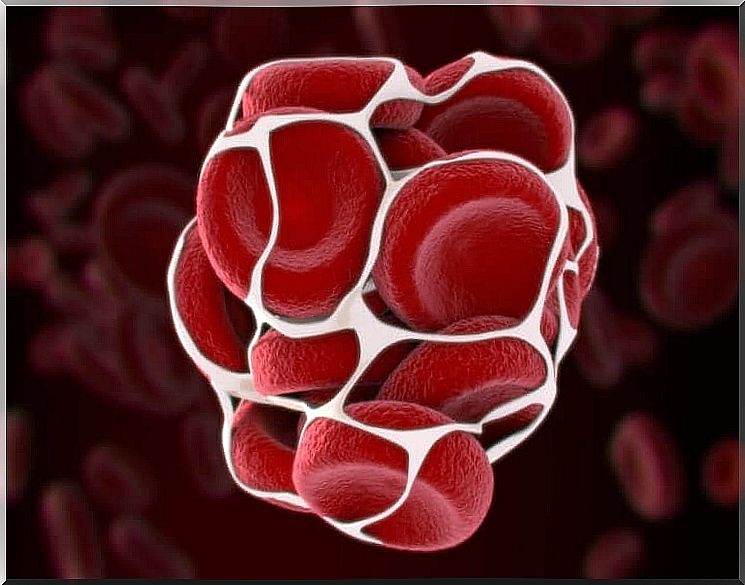 The process of blood clotting