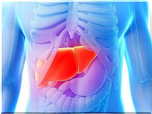 the relationship between the liver and the harmful consequences of sugar