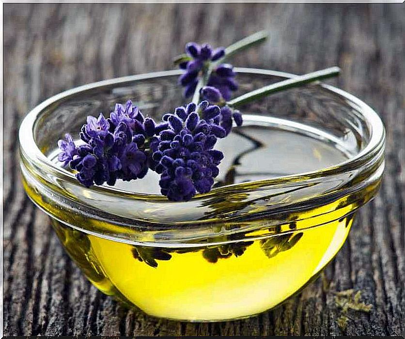 Lavender oil and plant to treat hypertension