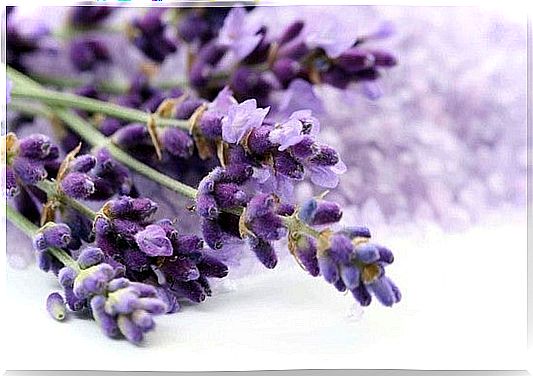 How to treat foot bunions: lavender