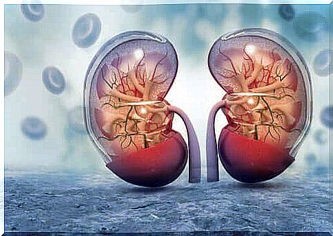 COVID-19 affects the kidneys 