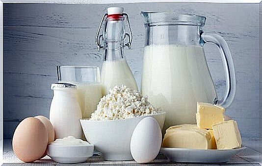 The calcium supplement in dairy products