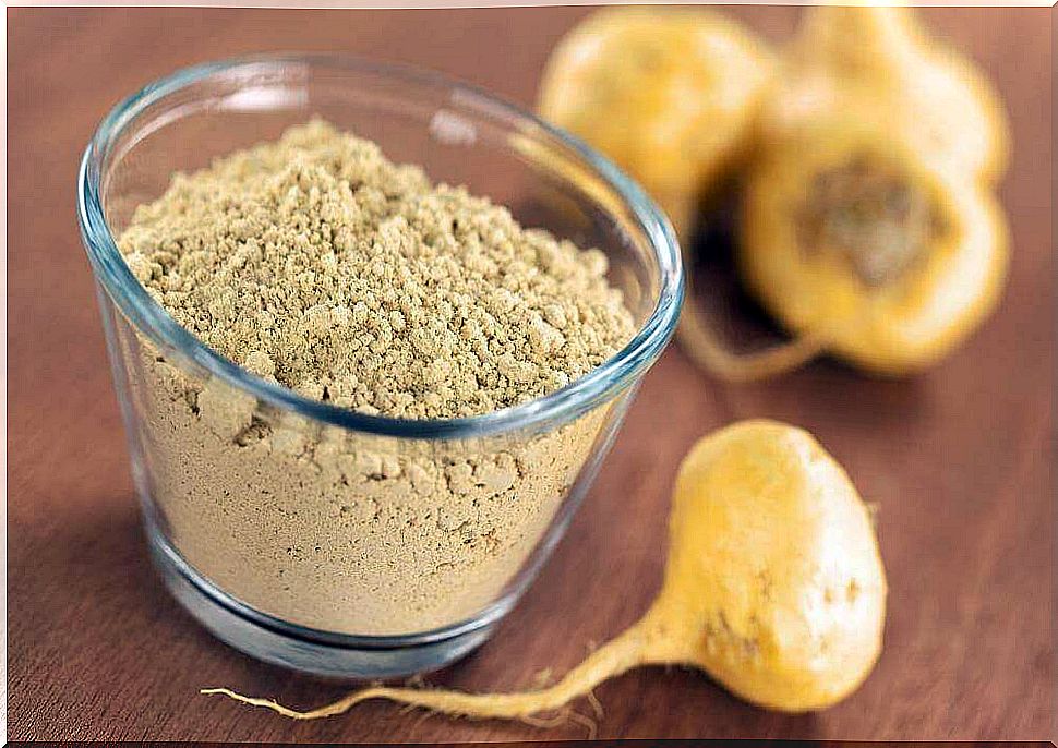 Maca root in powder form 