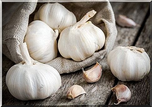 garlic garlic